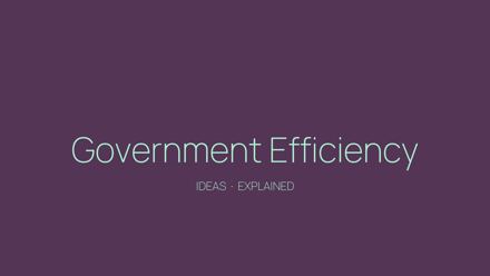 Government Efficiency