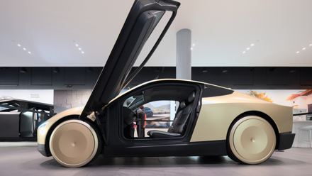 Robotaxi Network