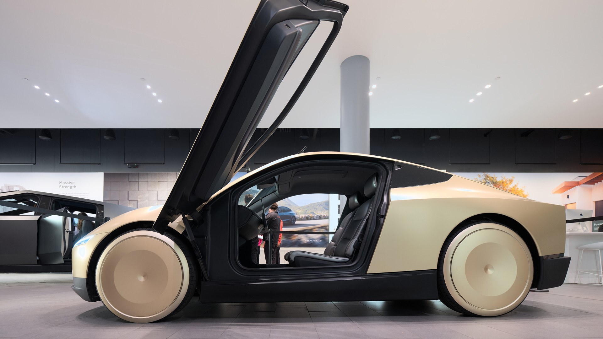 Robotaxi Network